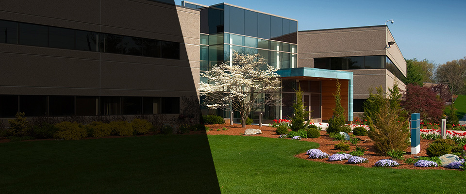 Saint Martinville Landscapers