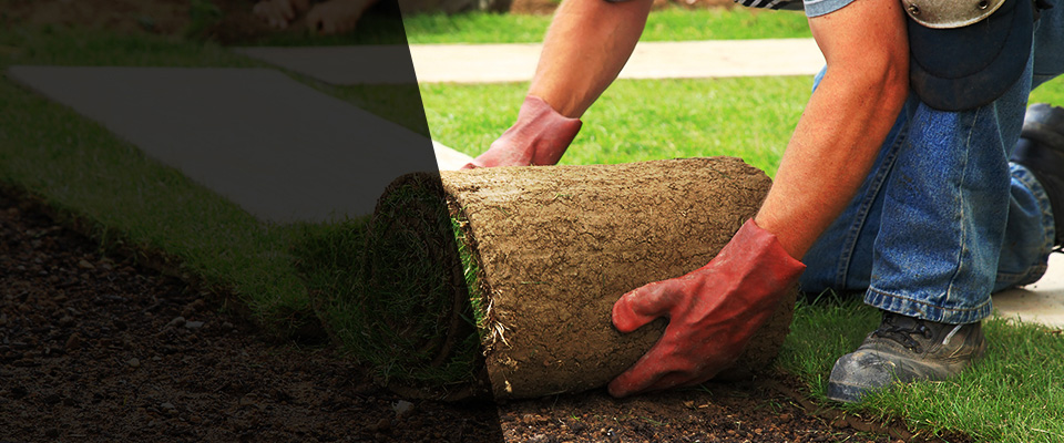 Saint Martinville Landscapers